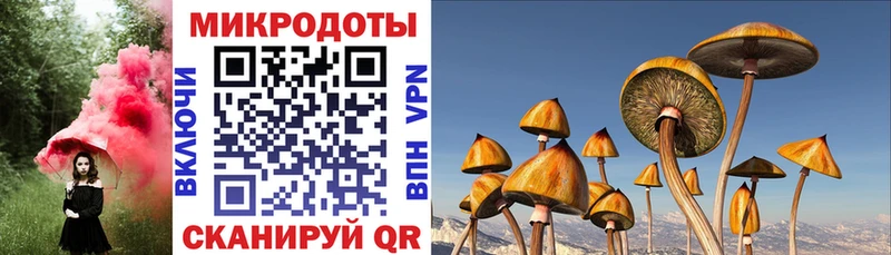 Галлюциногенные грибы GOLDEN TEACHER Новотроицк