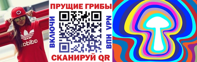 Галлюциногенные грибы ЛСД  Новотроицк 